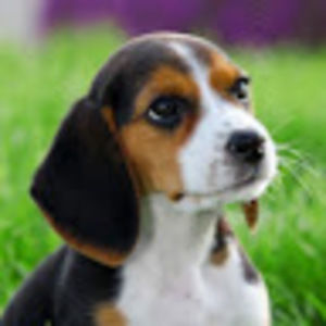 Meet your Posher, Tori